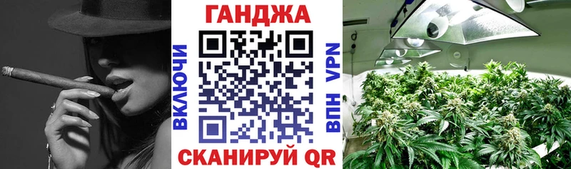 Бошки марихуана ГИДРОПОН  Судак 
